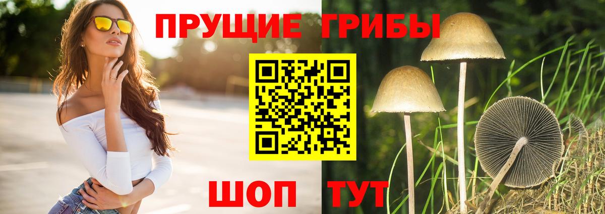 Псилоцибиновые грибы MAGIC MUSHROOMS Ивантеевка