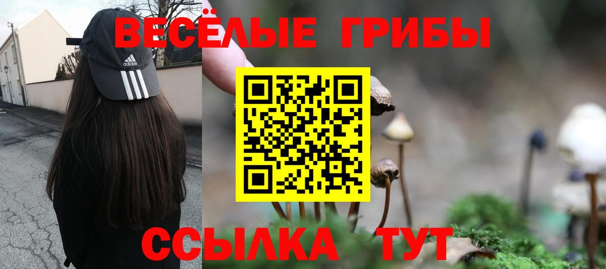 Галлюциногенные грибы Cubensis  Вход с VPN  Ивантеевка 